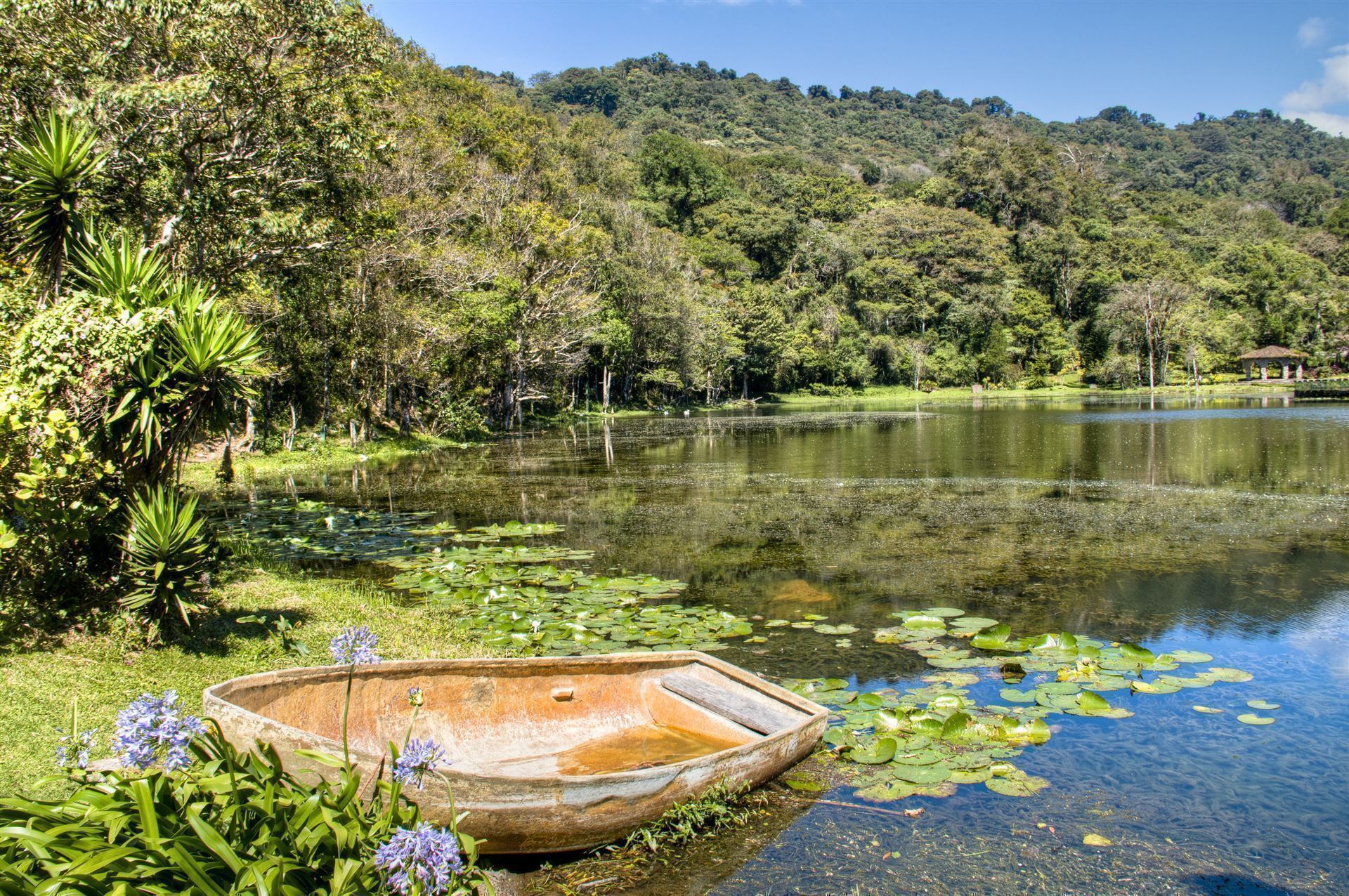 See mit kleinen Boot in Selva Negra, Matagalpa, Nicaragua