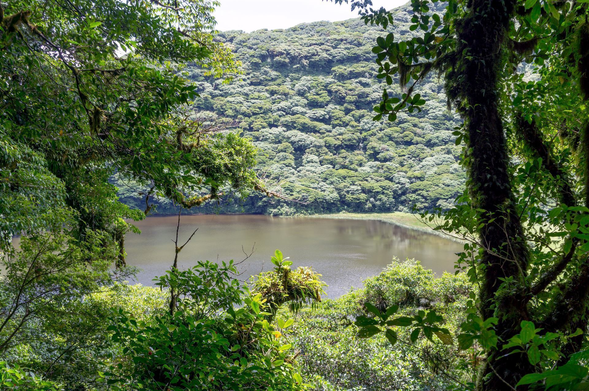 Lagune