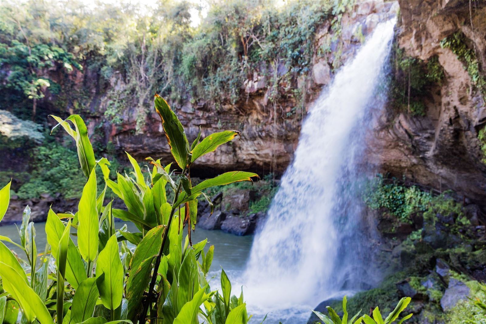 Wasserfall Cascada Blanca, Matagalpa, Nicaragua