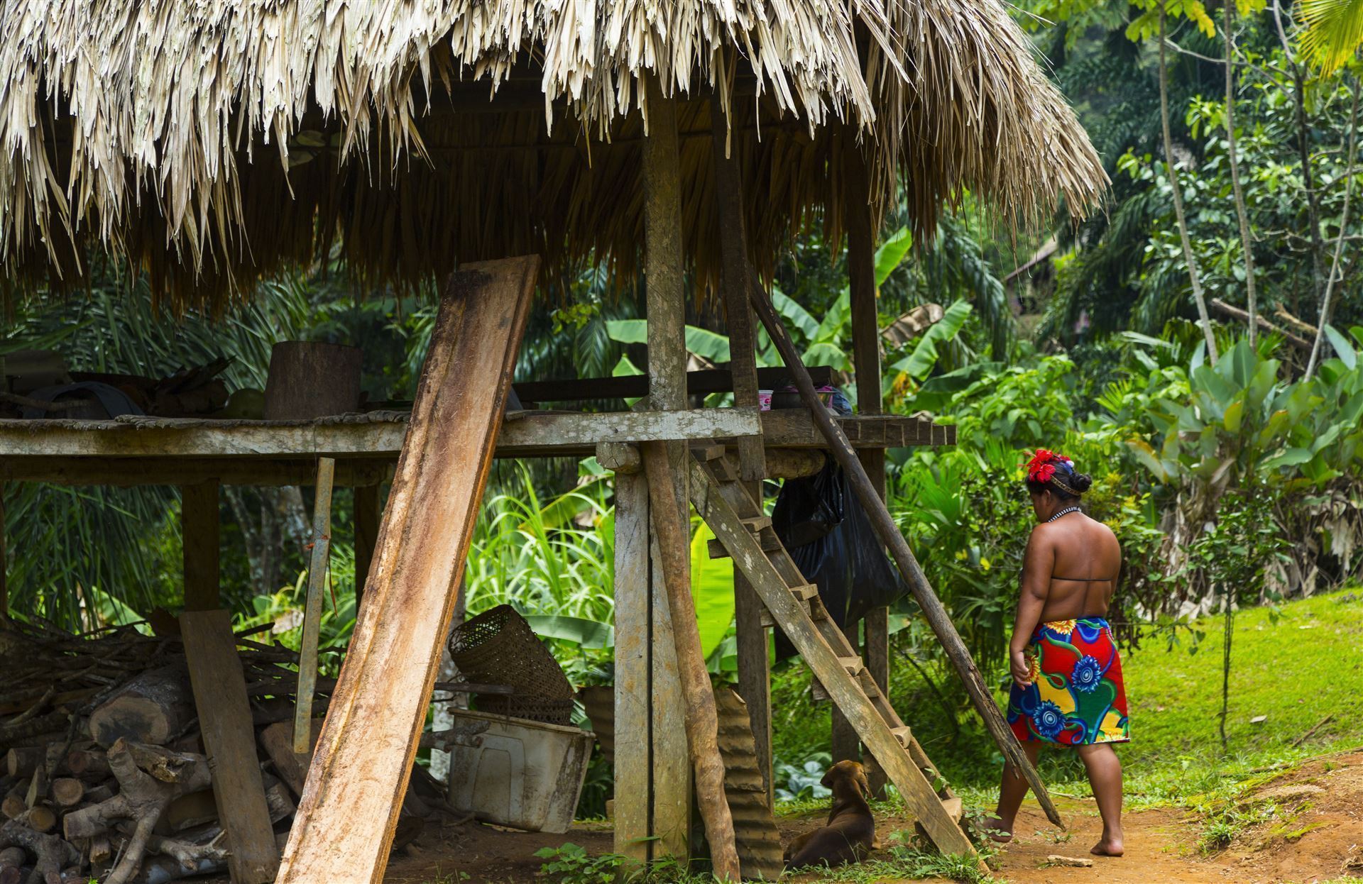 Typische Bauten im Dorf der Embera, Panama