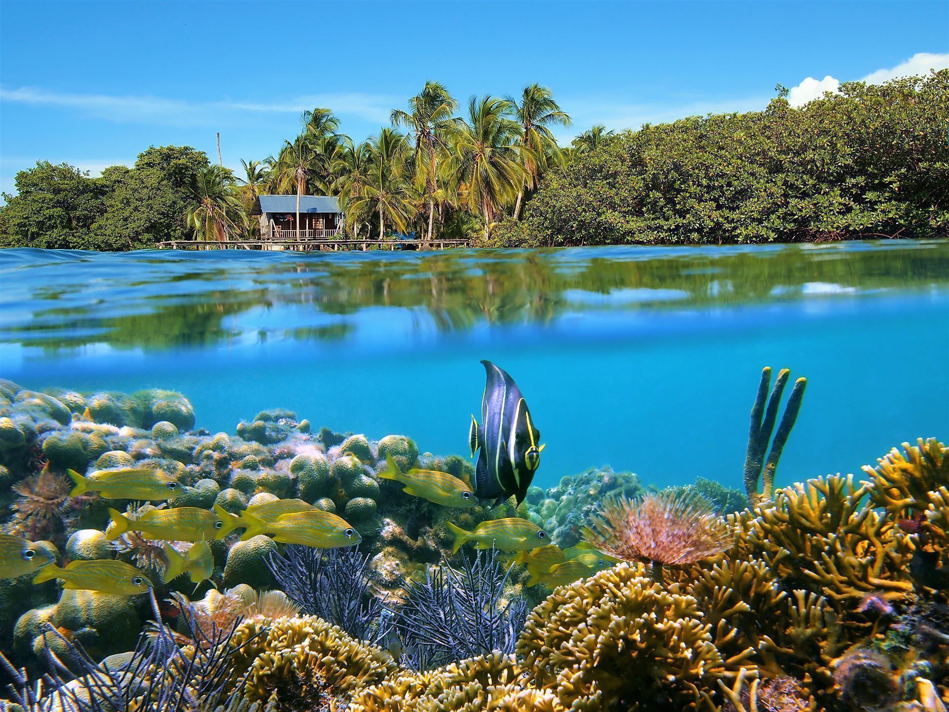 Inselgruppe Bocas del Toro mit Korallenriff