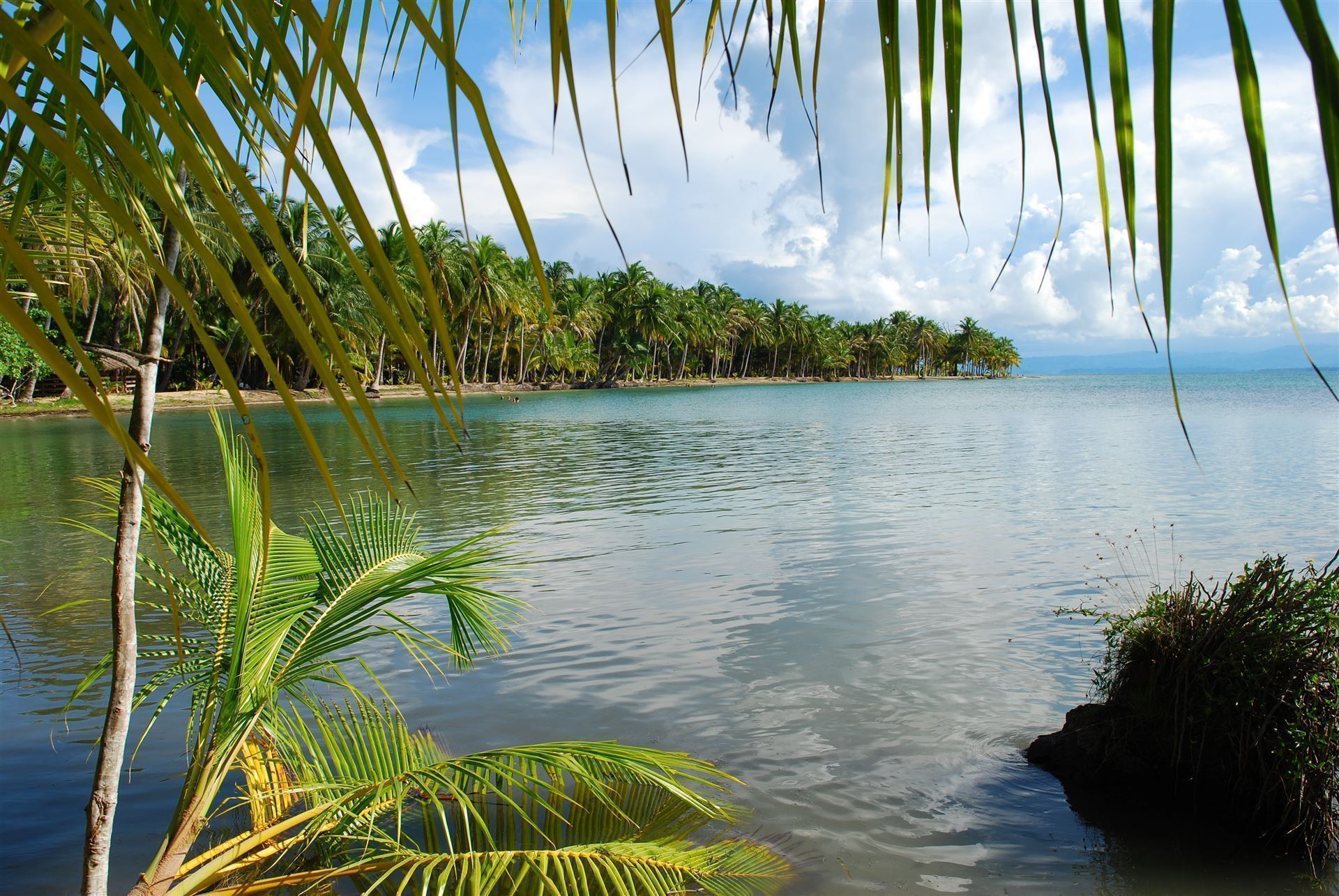 Bocas del Toro Inseln: Insel Colon, Panama
