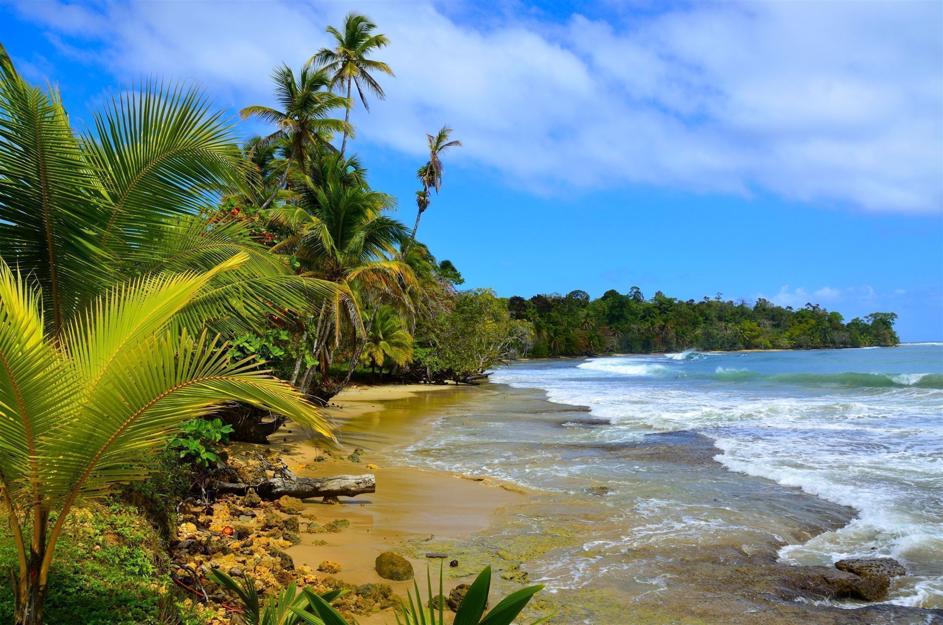 Bocas del Toro Inseln: Küste Insel Colon, Panama