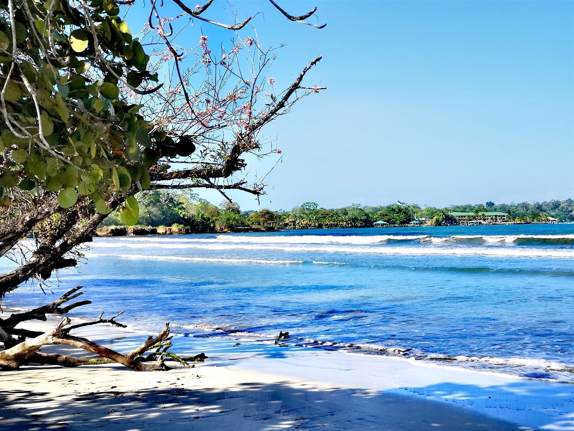 Berühmter Red Frog Beach 