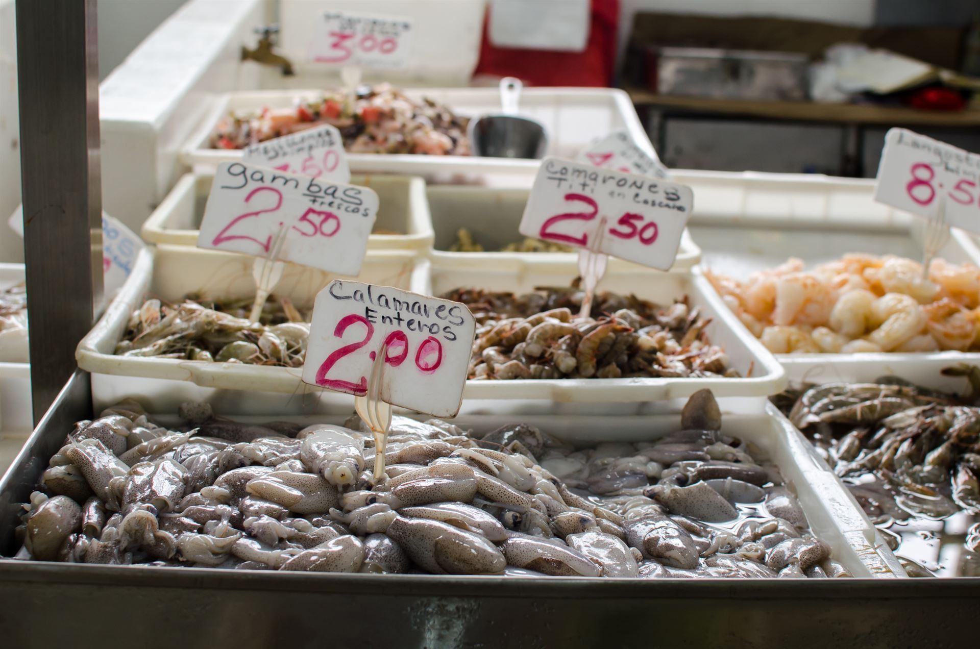 Panama City Seafood Market
