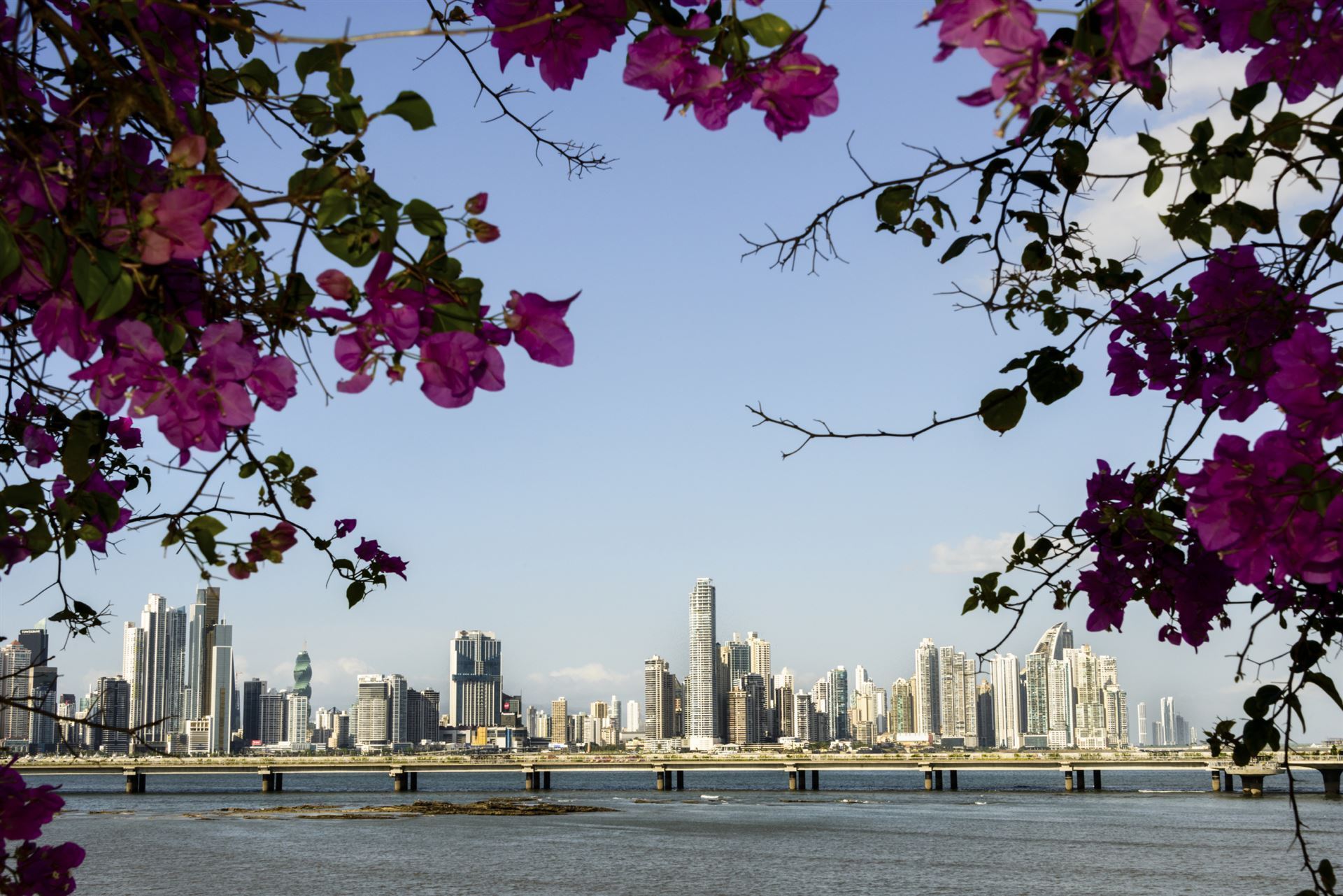 Panama Stadt Skyline 
