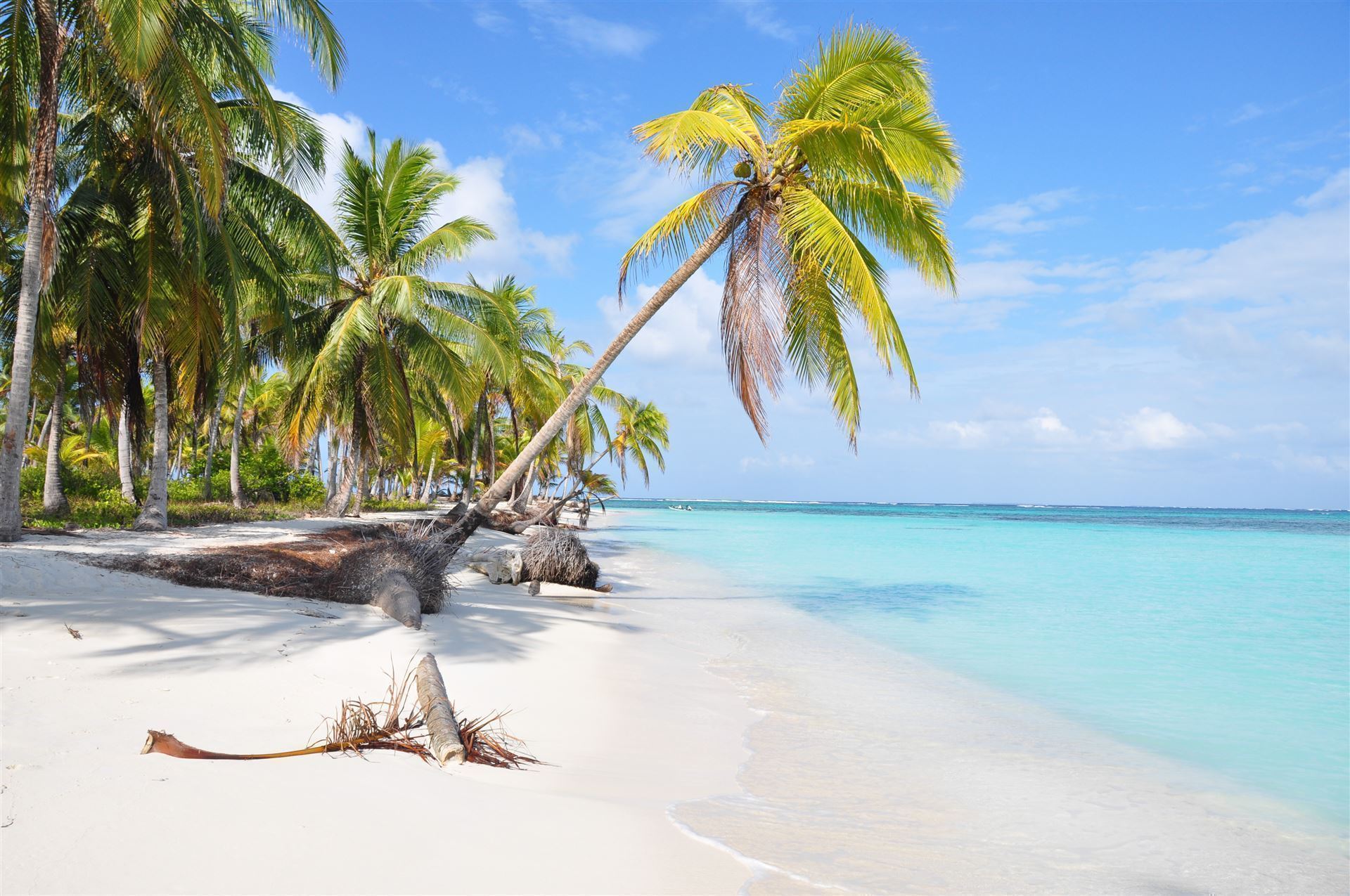 Schöner karibischer Strand