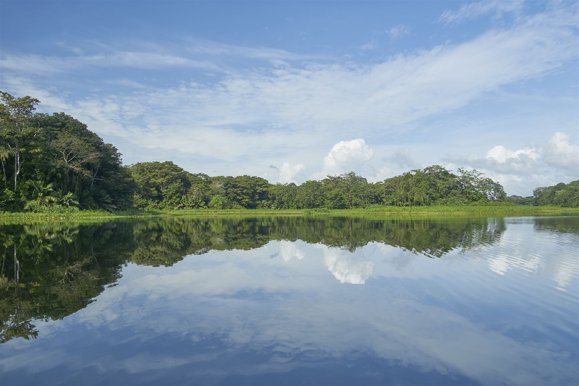 Reflektierender Panamakanal im Soberania Nationalpark