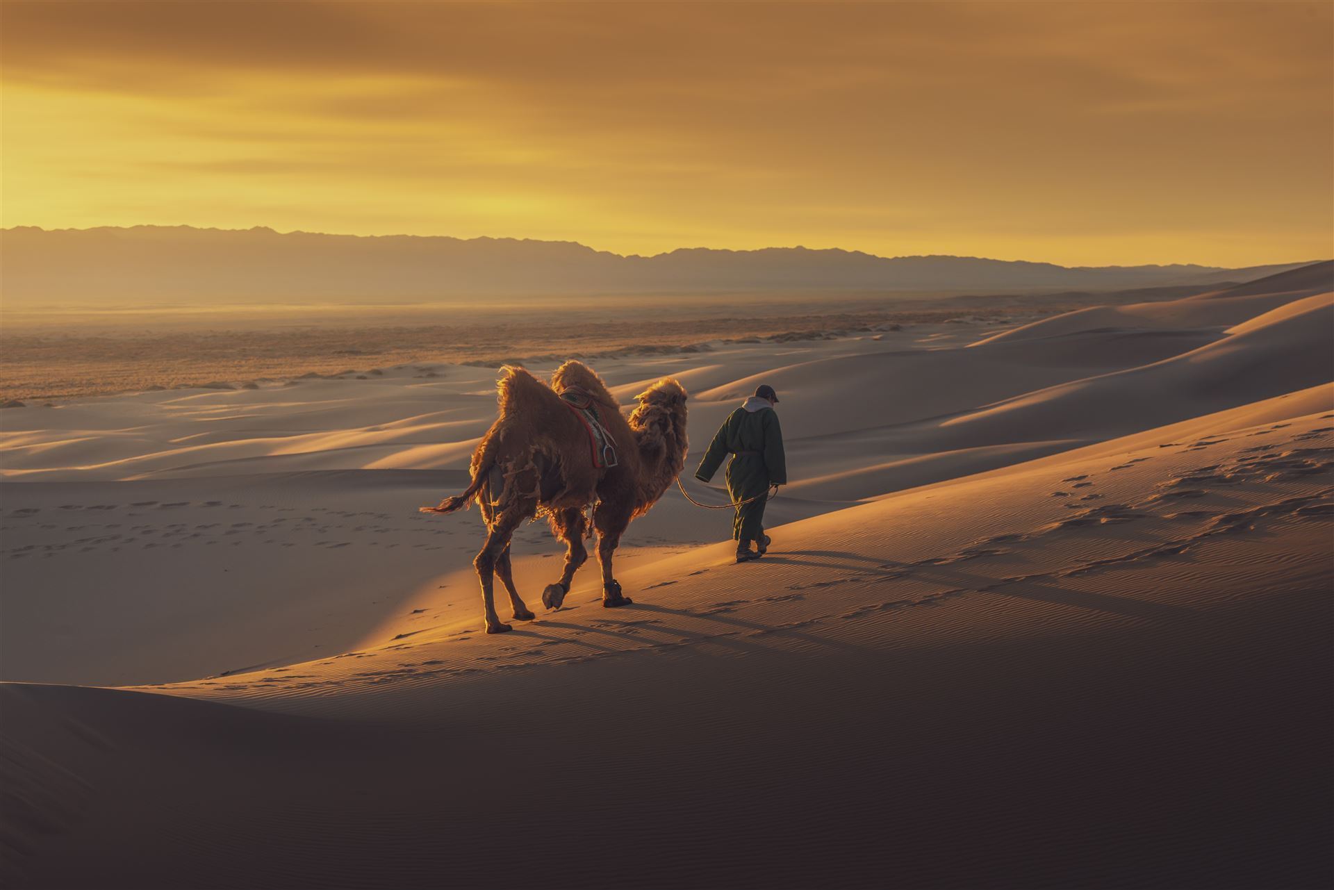 Gobi Wüste im Sonnenuntergang