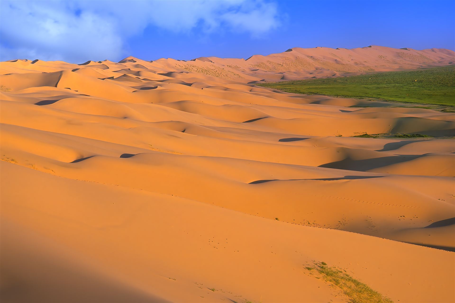 Khongoryn Els - Sanddüne