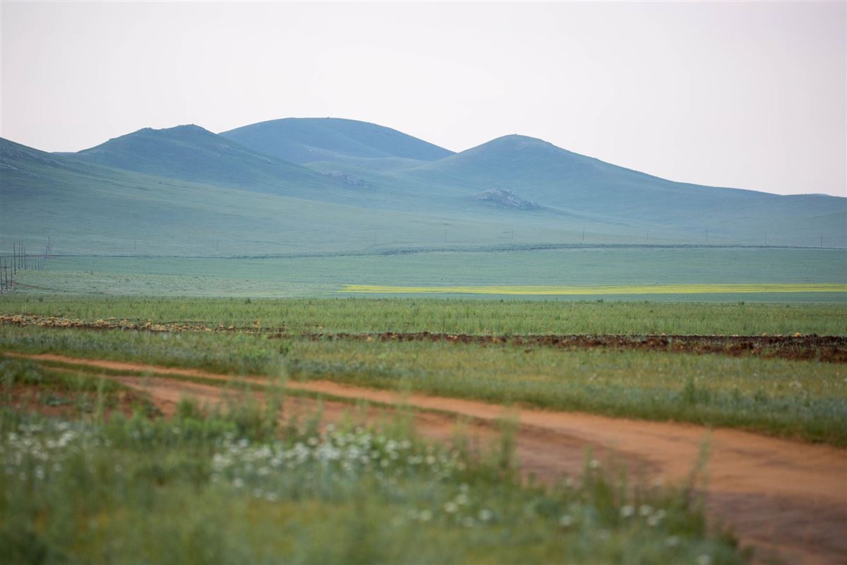Rundreisen.de - Mongolei - Khustai Nationalpark