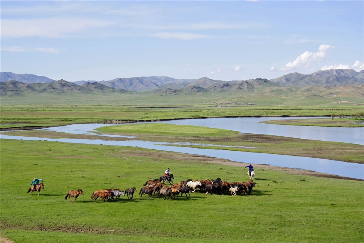 Rundreisen.de - Mongolei - Khustai Nationalpark