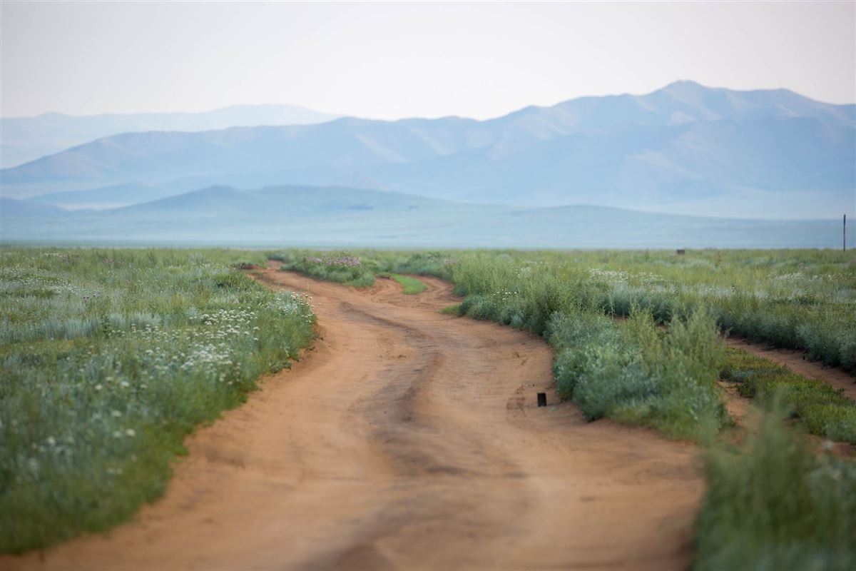 Rundreisen.de - Mongolei - Khustai Nationalpark