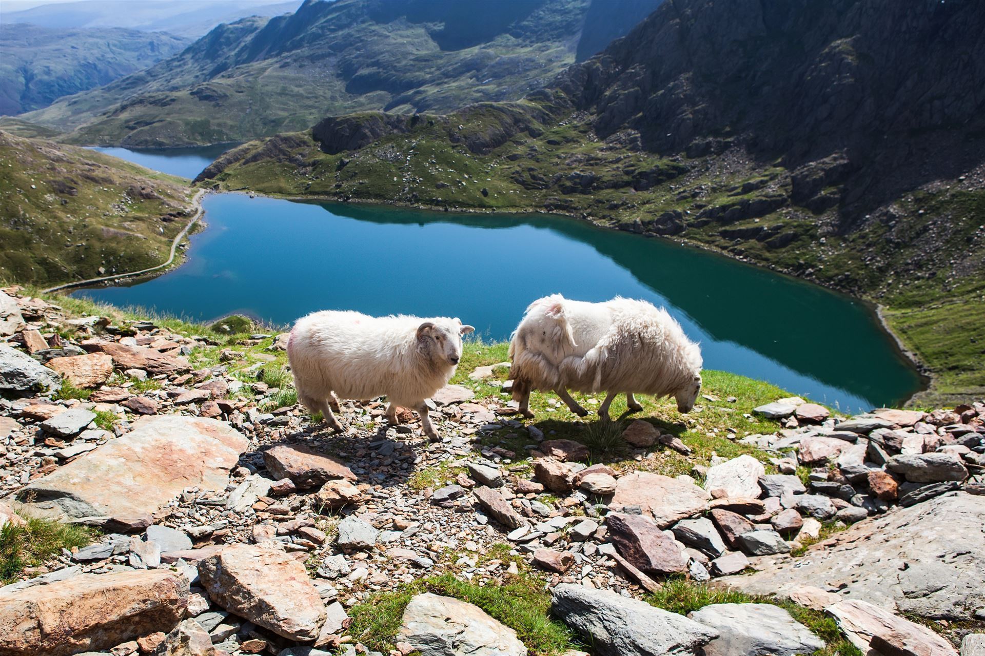 Impressionen vom Snowdonia Nationalpark