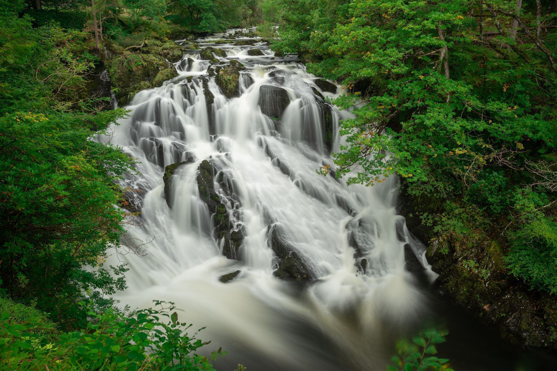 Swallow Falls