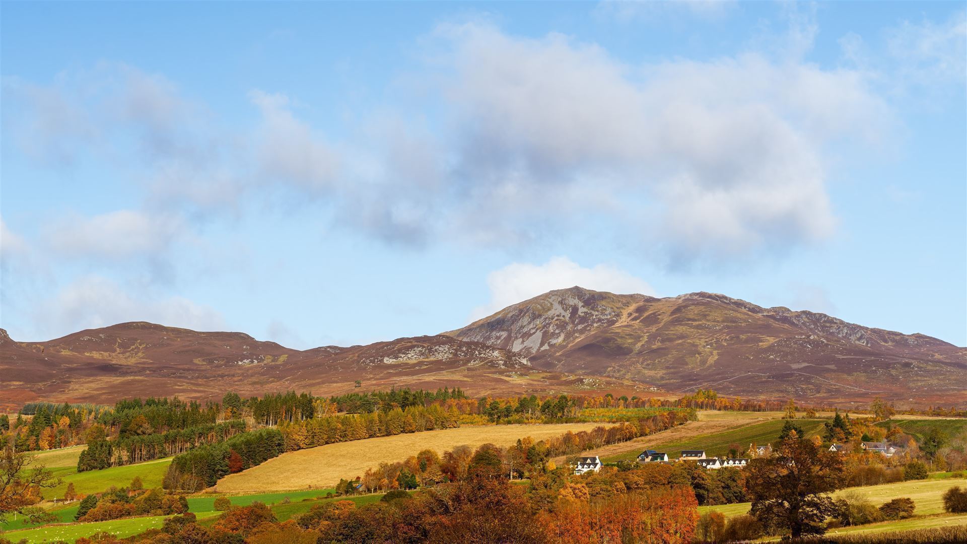 Berg Ben Vrackie