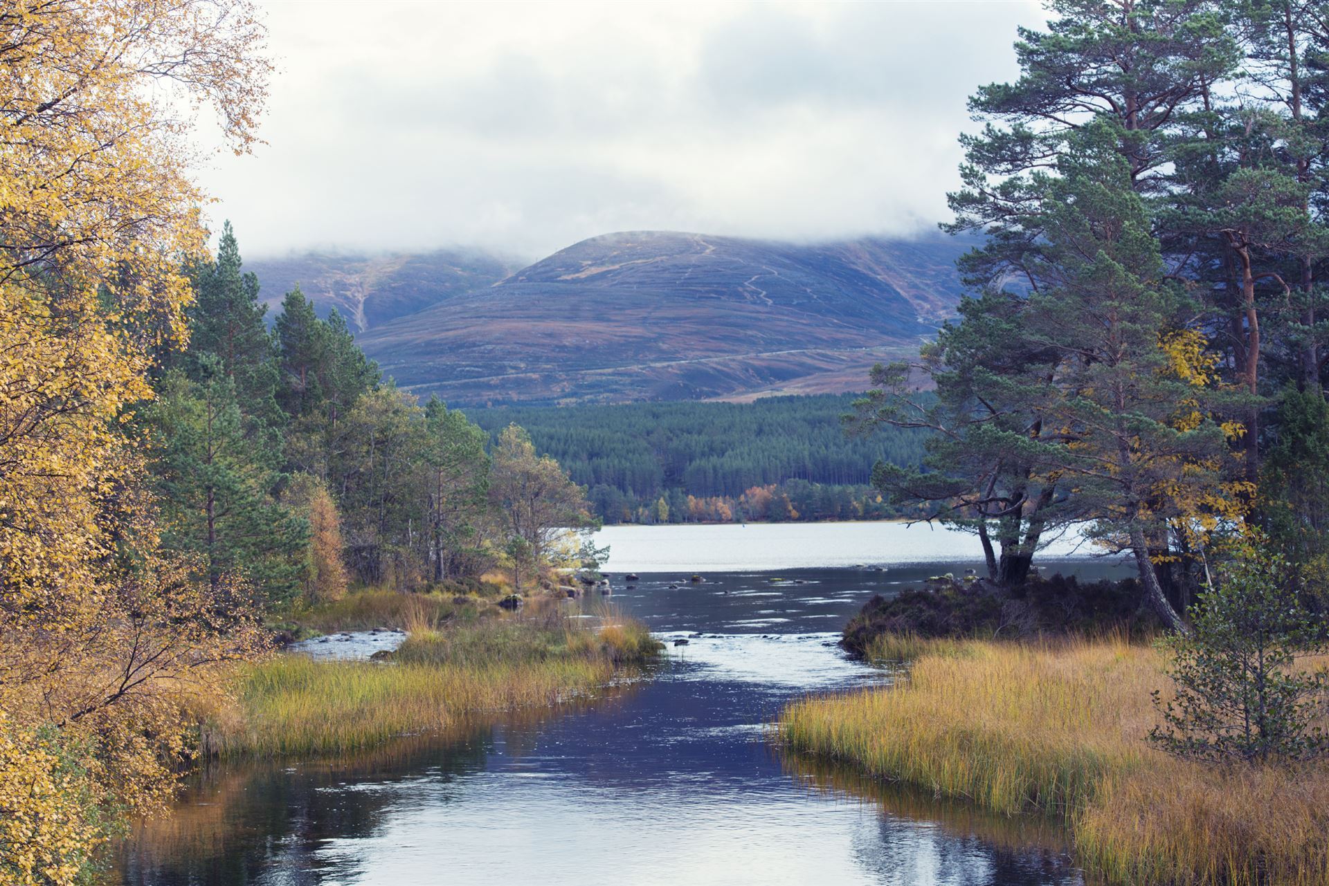 Schottland Cairngorm National Park Wasser