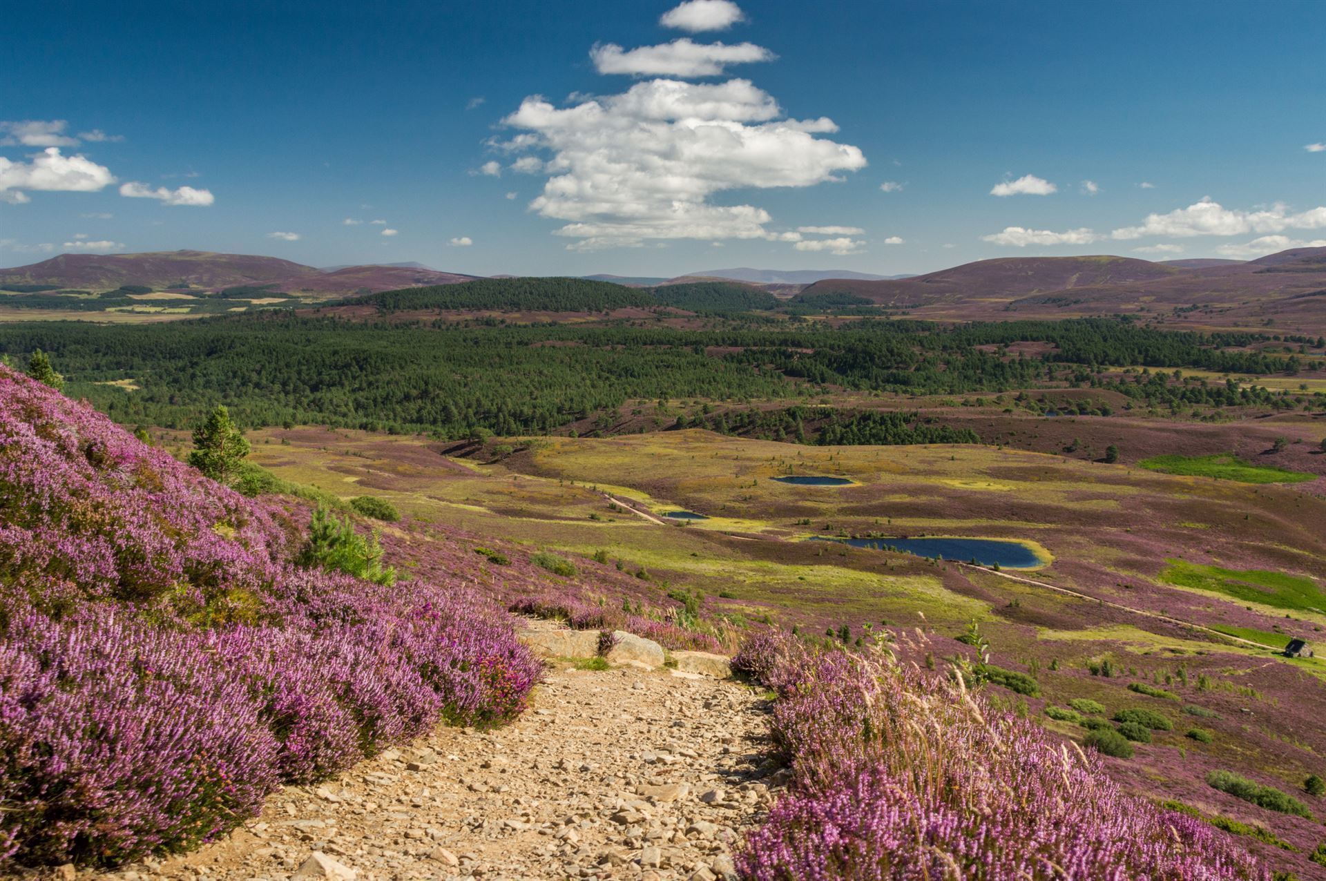Impressionen aus den Cairngorms