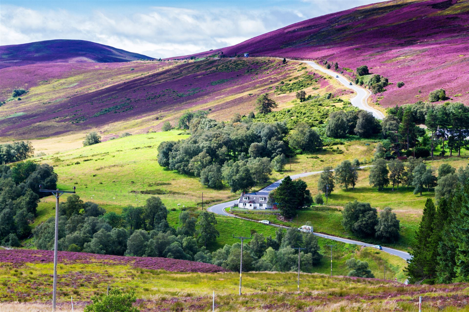 Cairngorms Park
