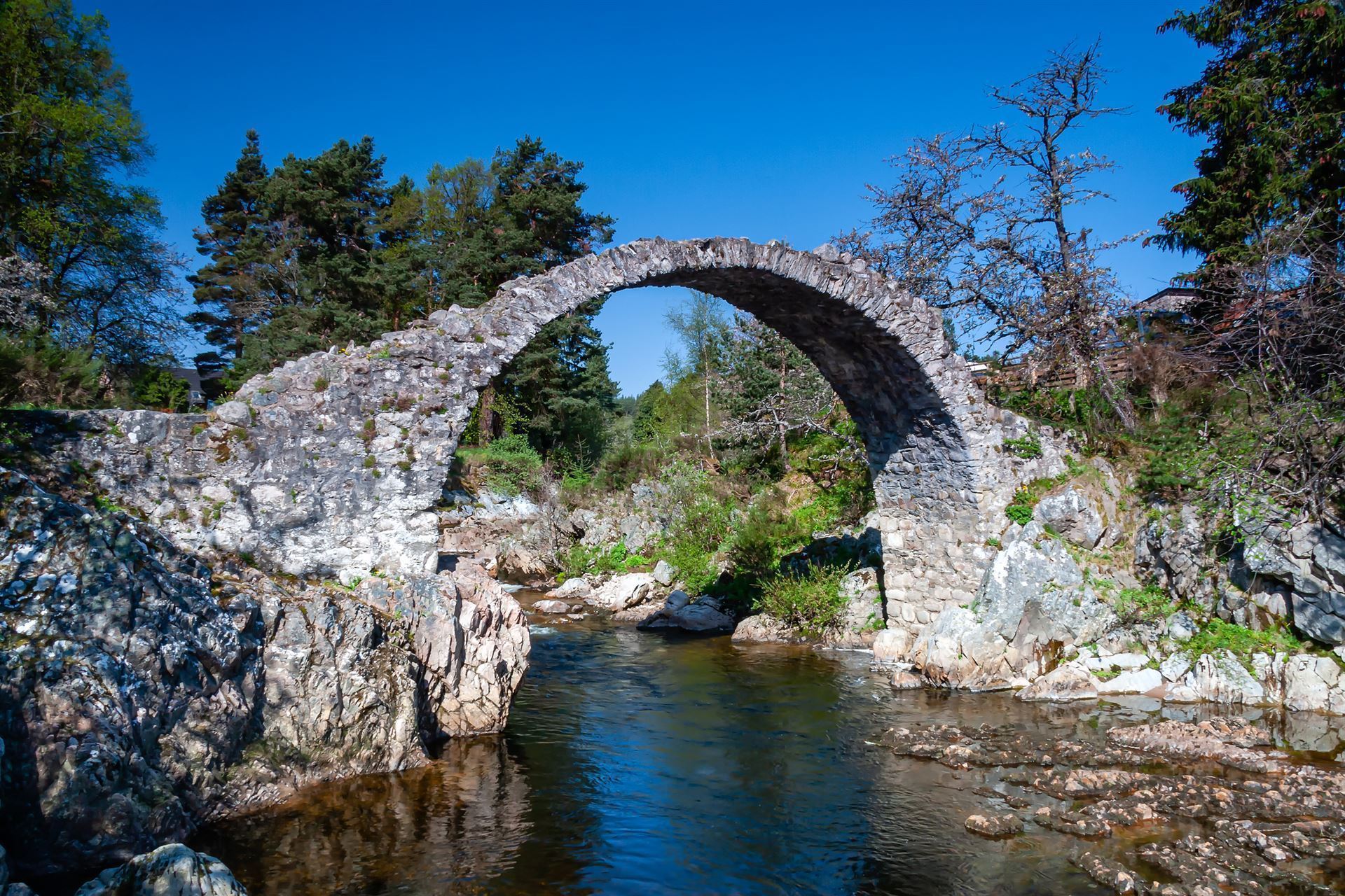 Alte Steinbrücke in Carrbridge in den Cairngorms