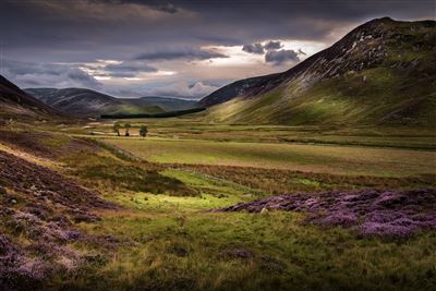 Impressionen aus den Cairngorms