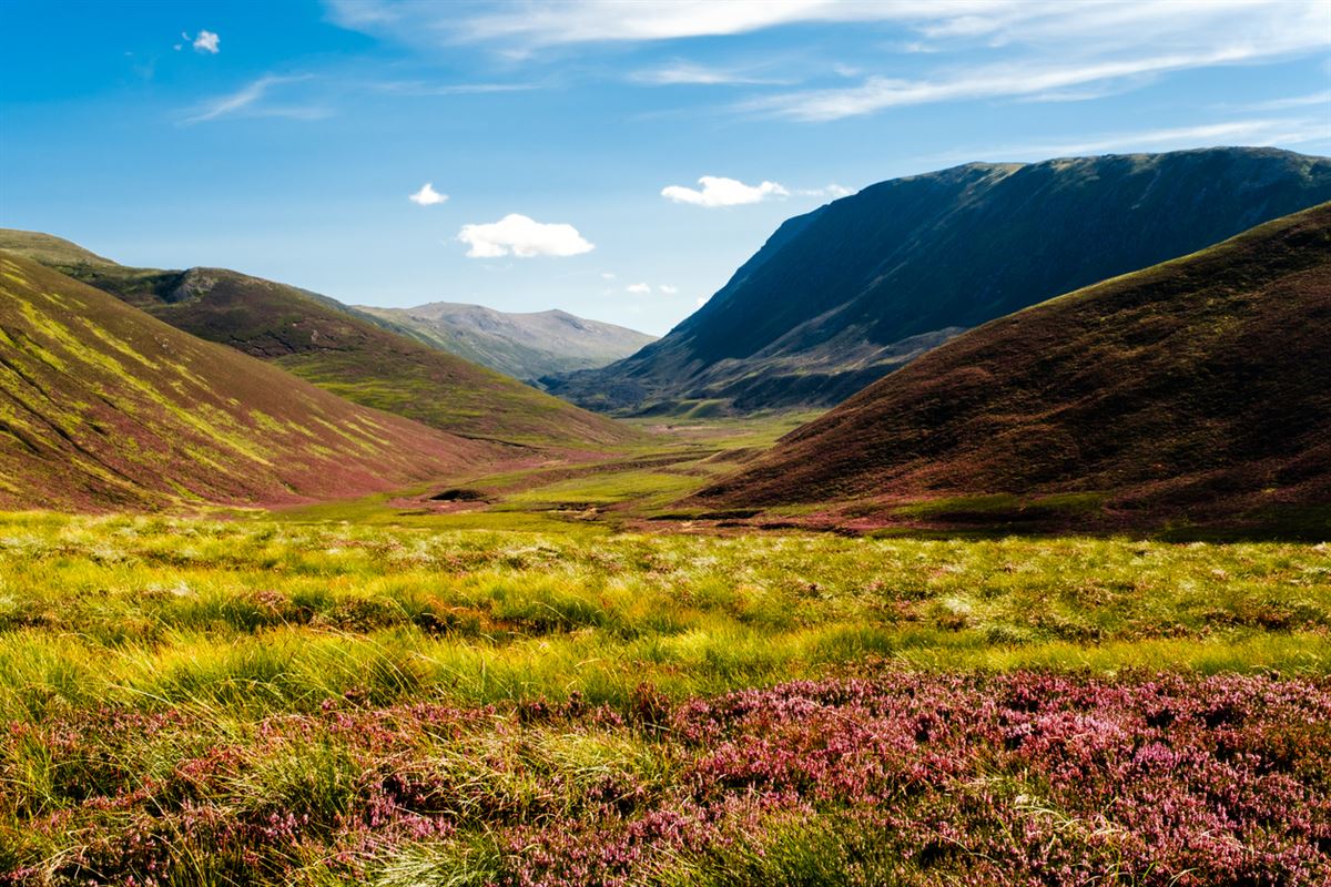 schottland 