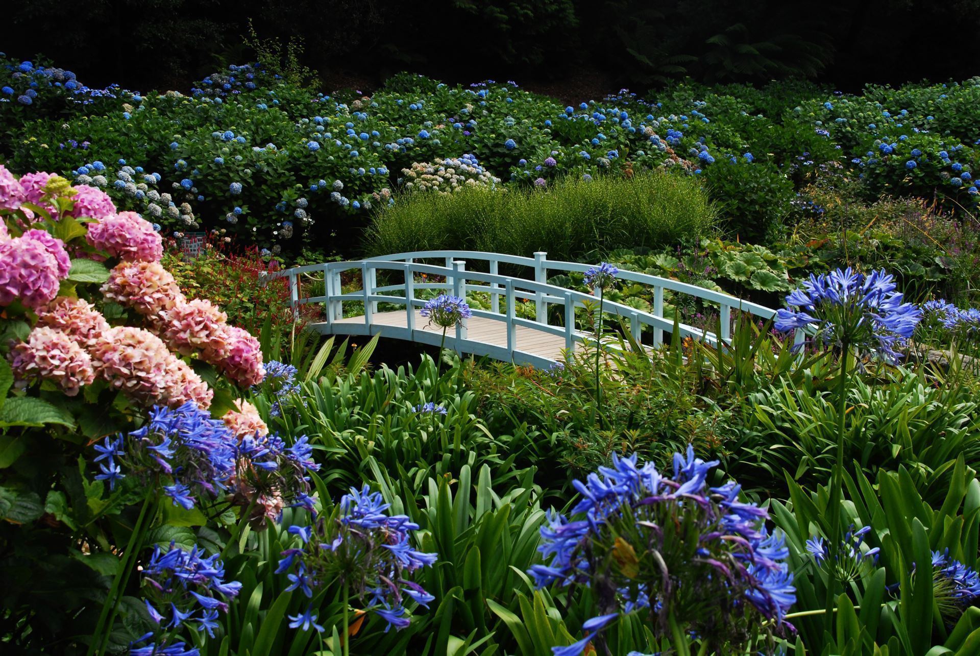 Weiße Brücke in den Trebah Gardens