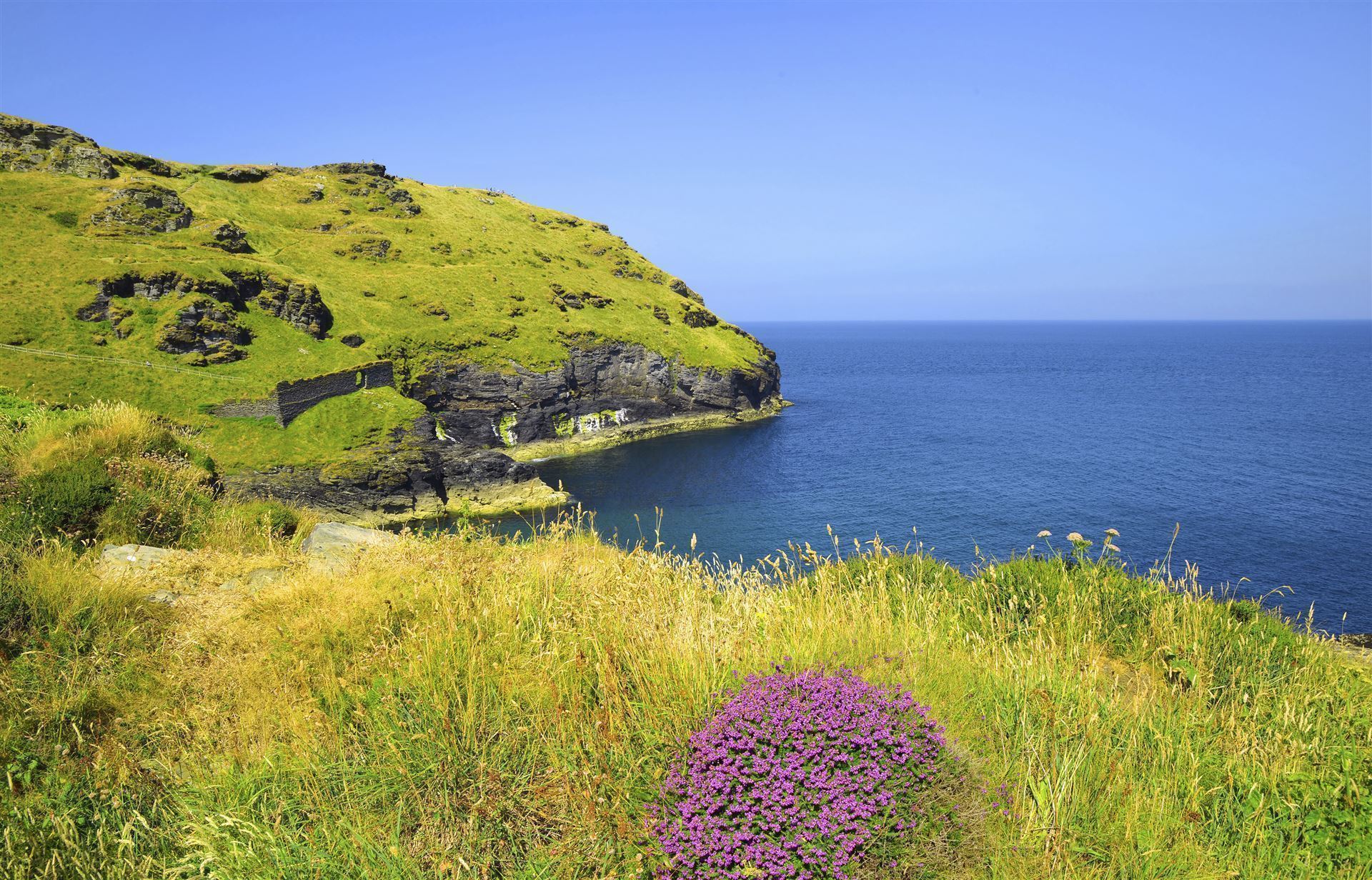 Tintagel Bay