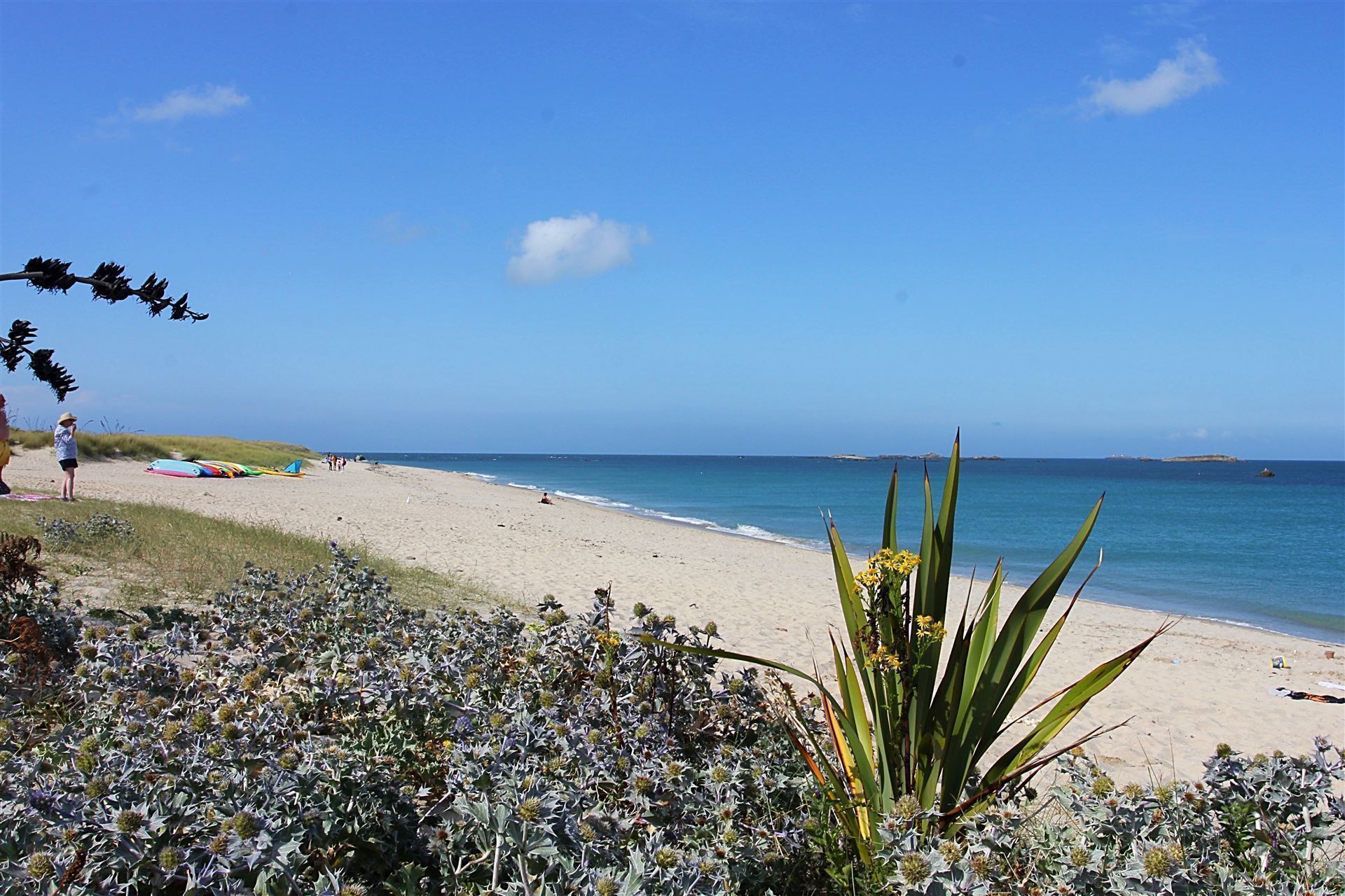 Impressionen von der Insel Herm