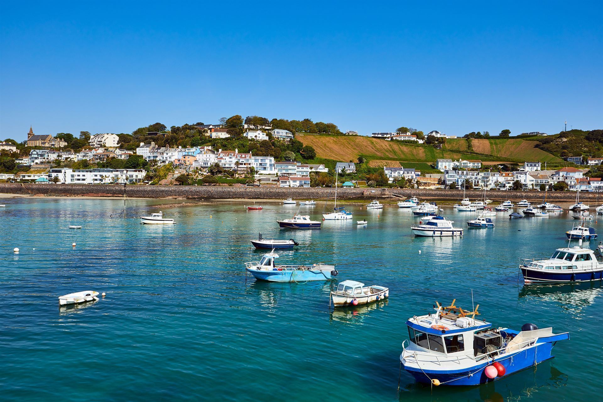 Gorey