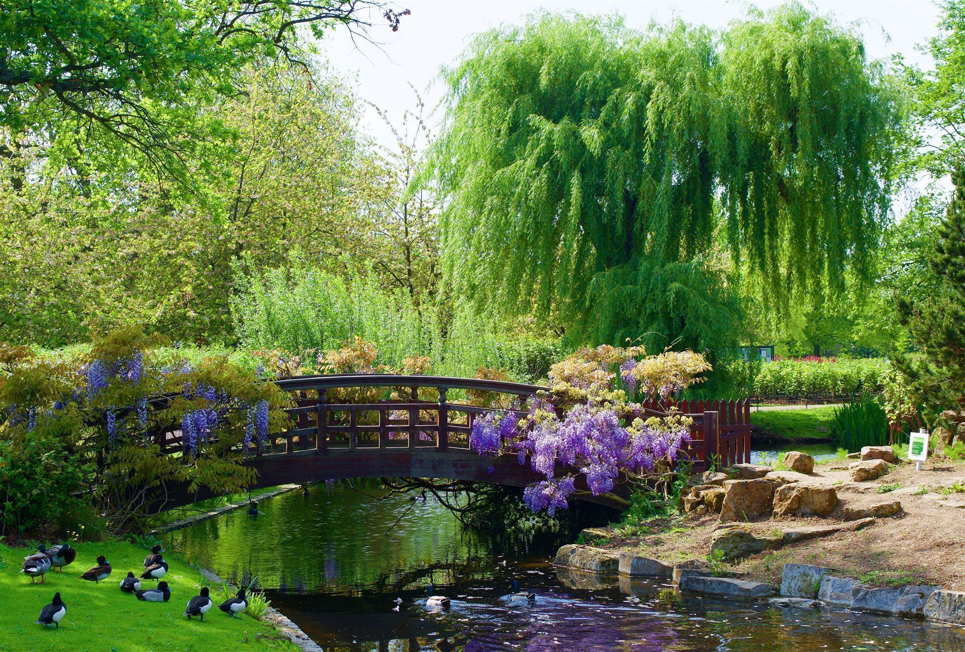 Regent´s Park
