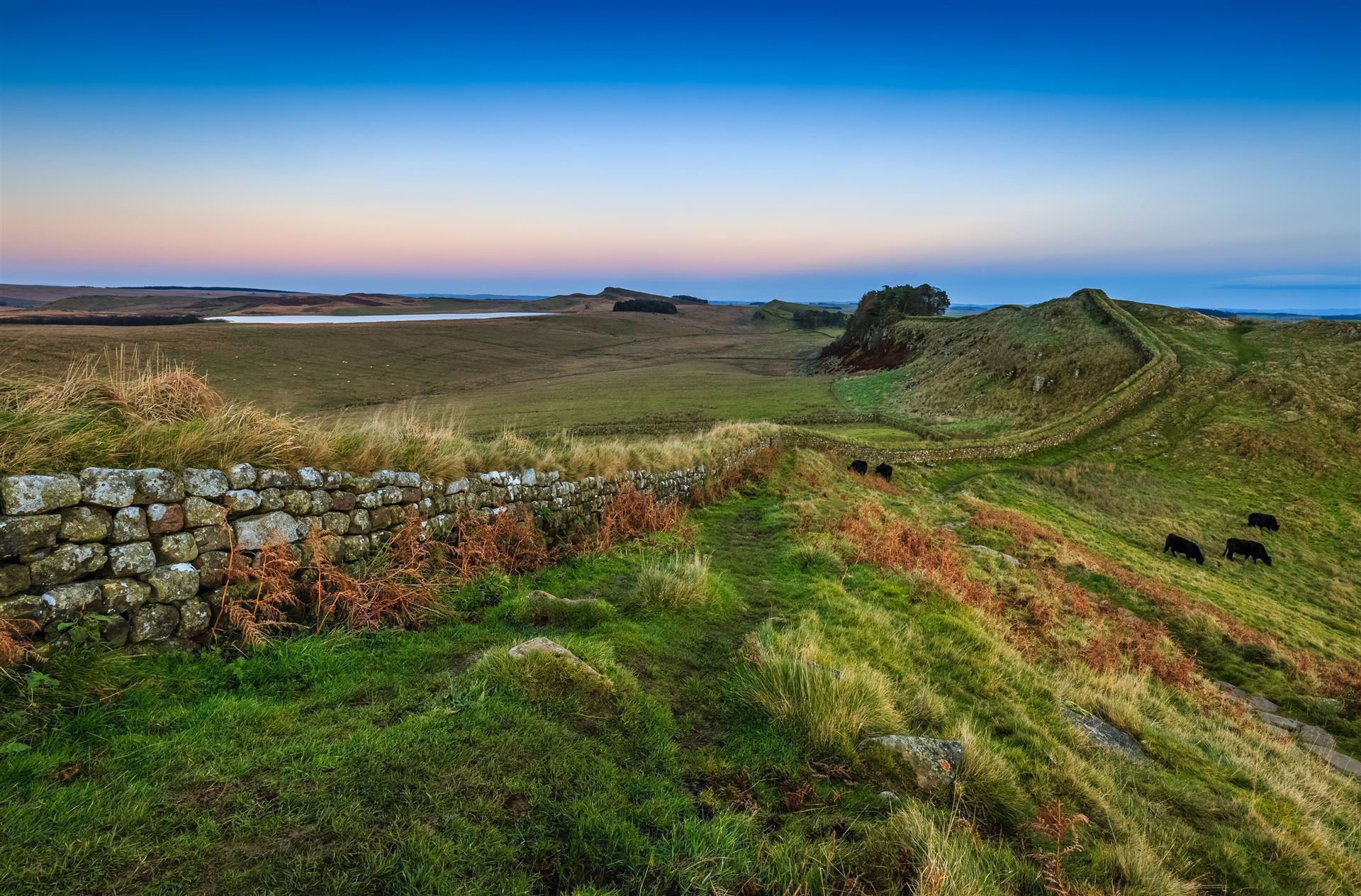 Hadrian´s Wall