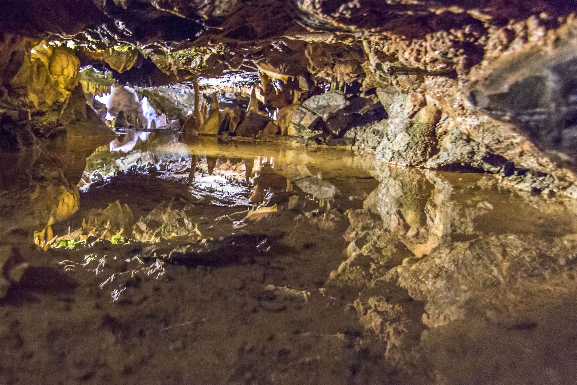 Cheddar Gorge Caves