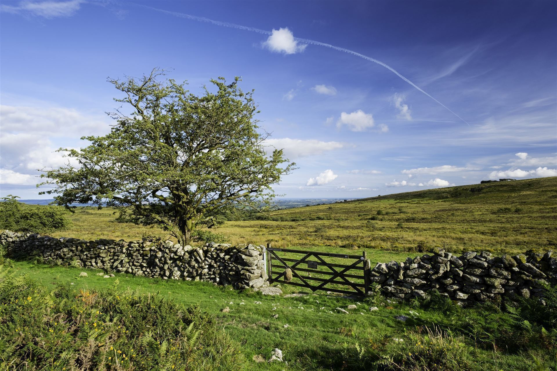 Impressionen aus dem Dartmoor Nationalpark