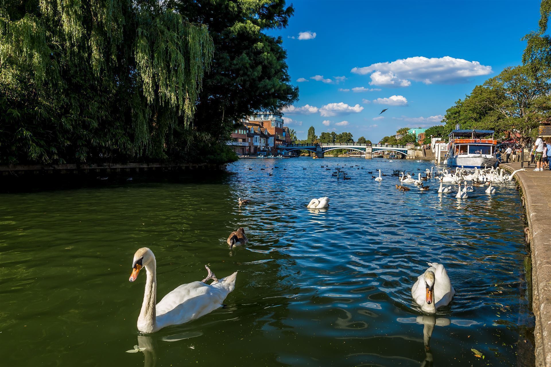 Eton-Windsor Bridge