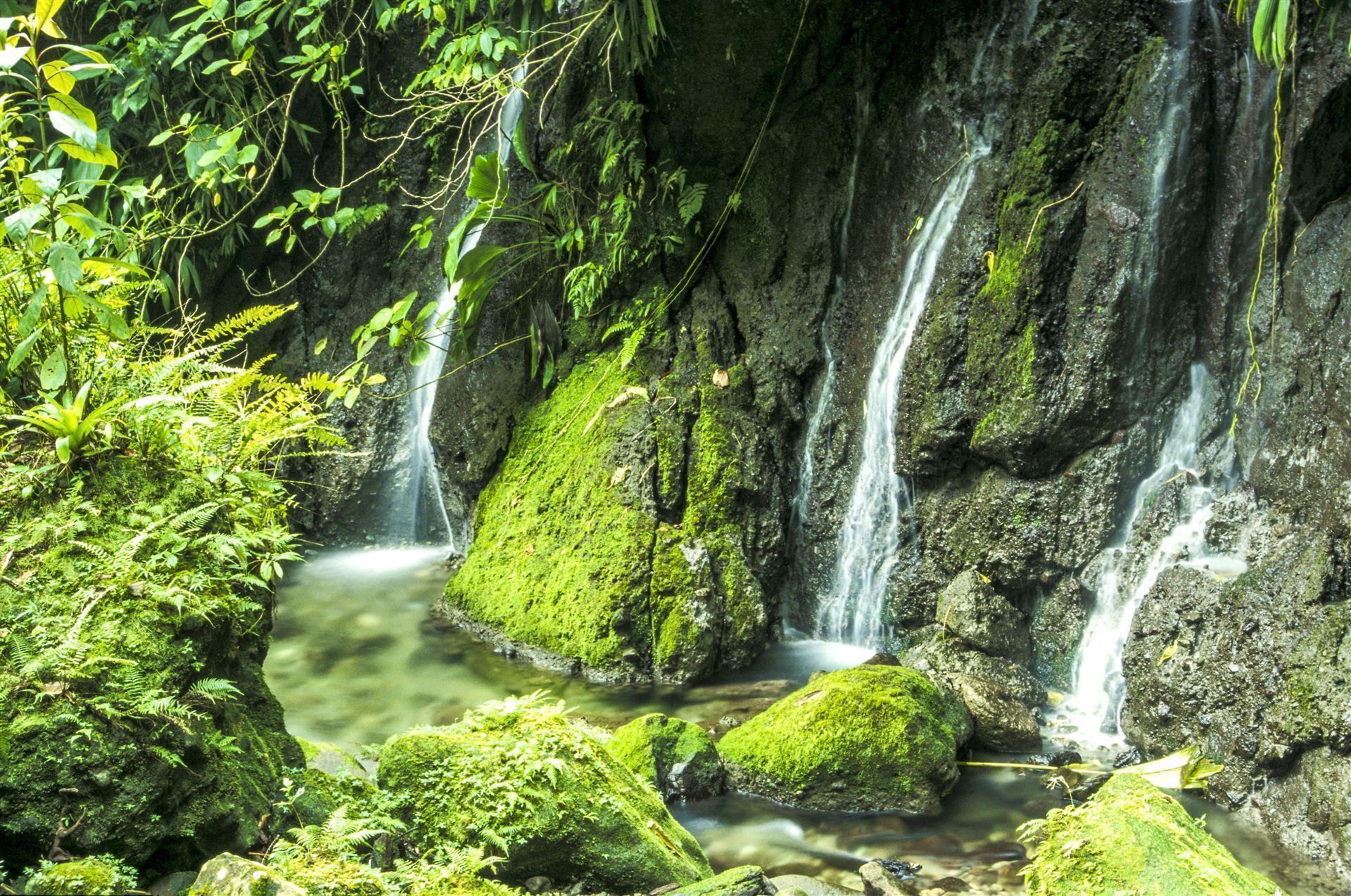 Morne Trois Park mit Middleham Falls