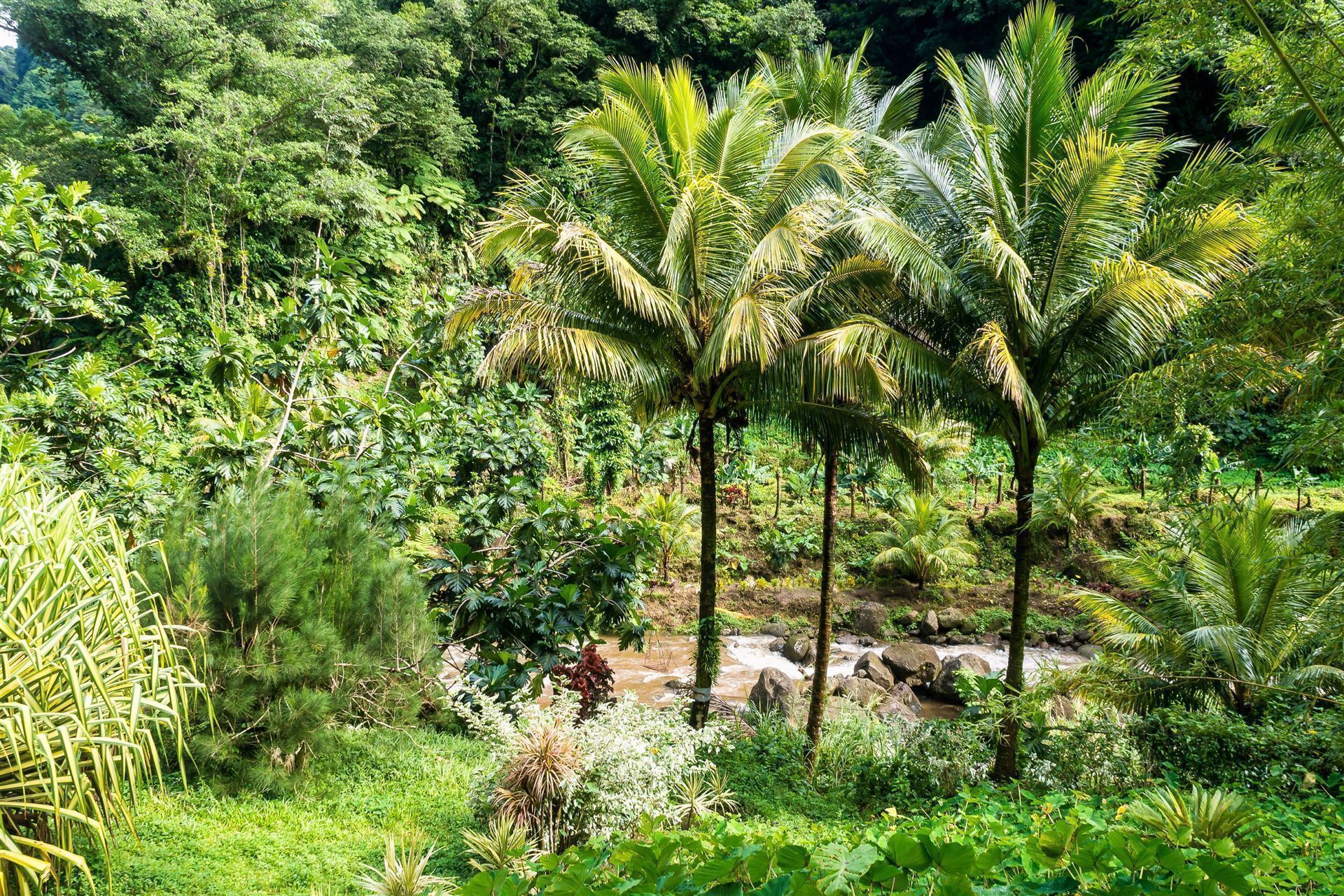 Morne Trois Pitons National Park