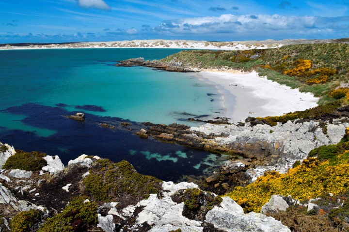 Falklandinseln