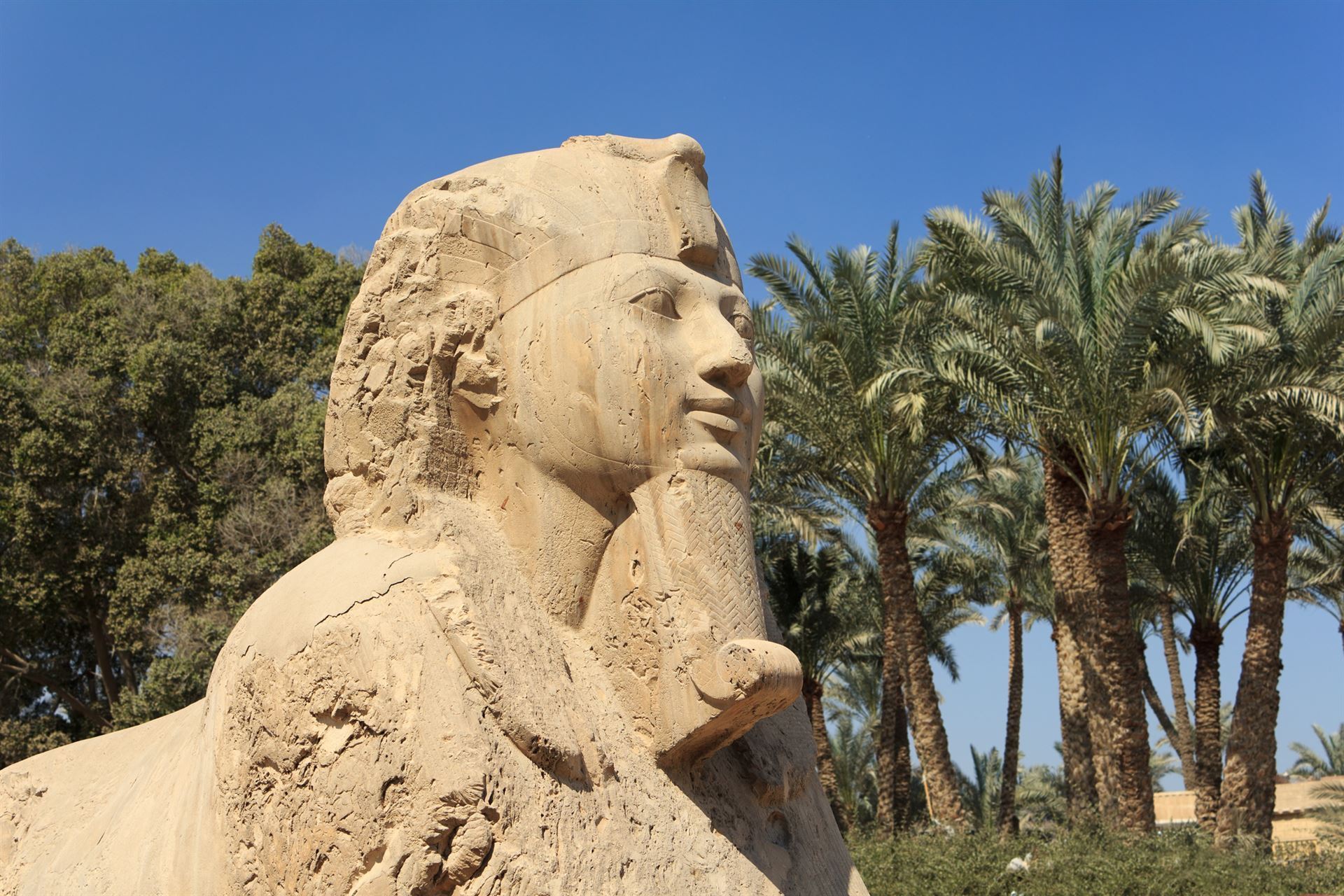 Alabaster Sphinx in Memphis