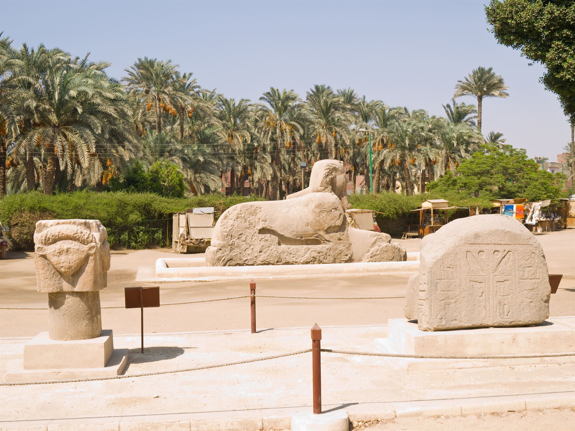 Sphinx im Memphis Musuem