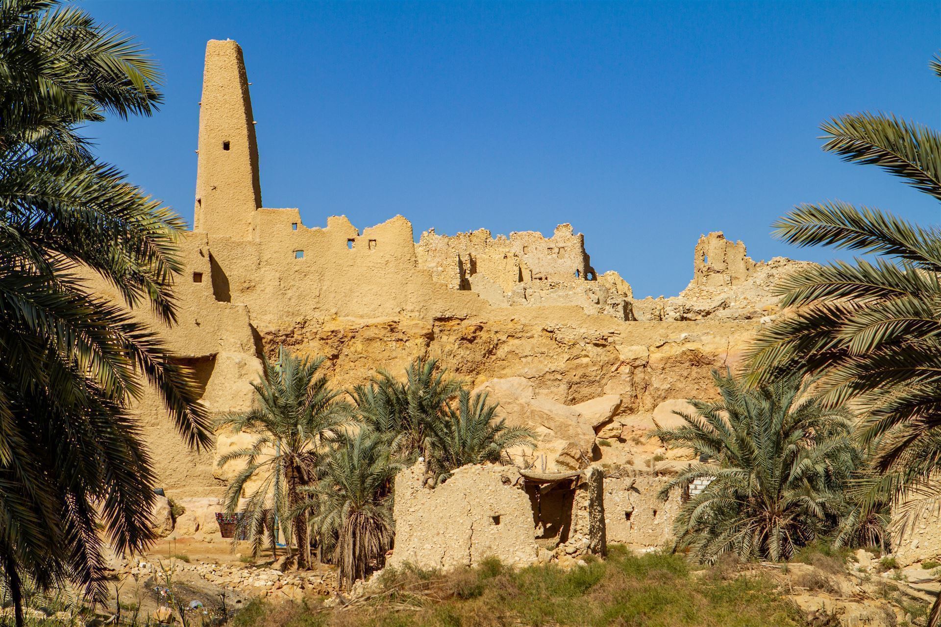 Tempel Ammon