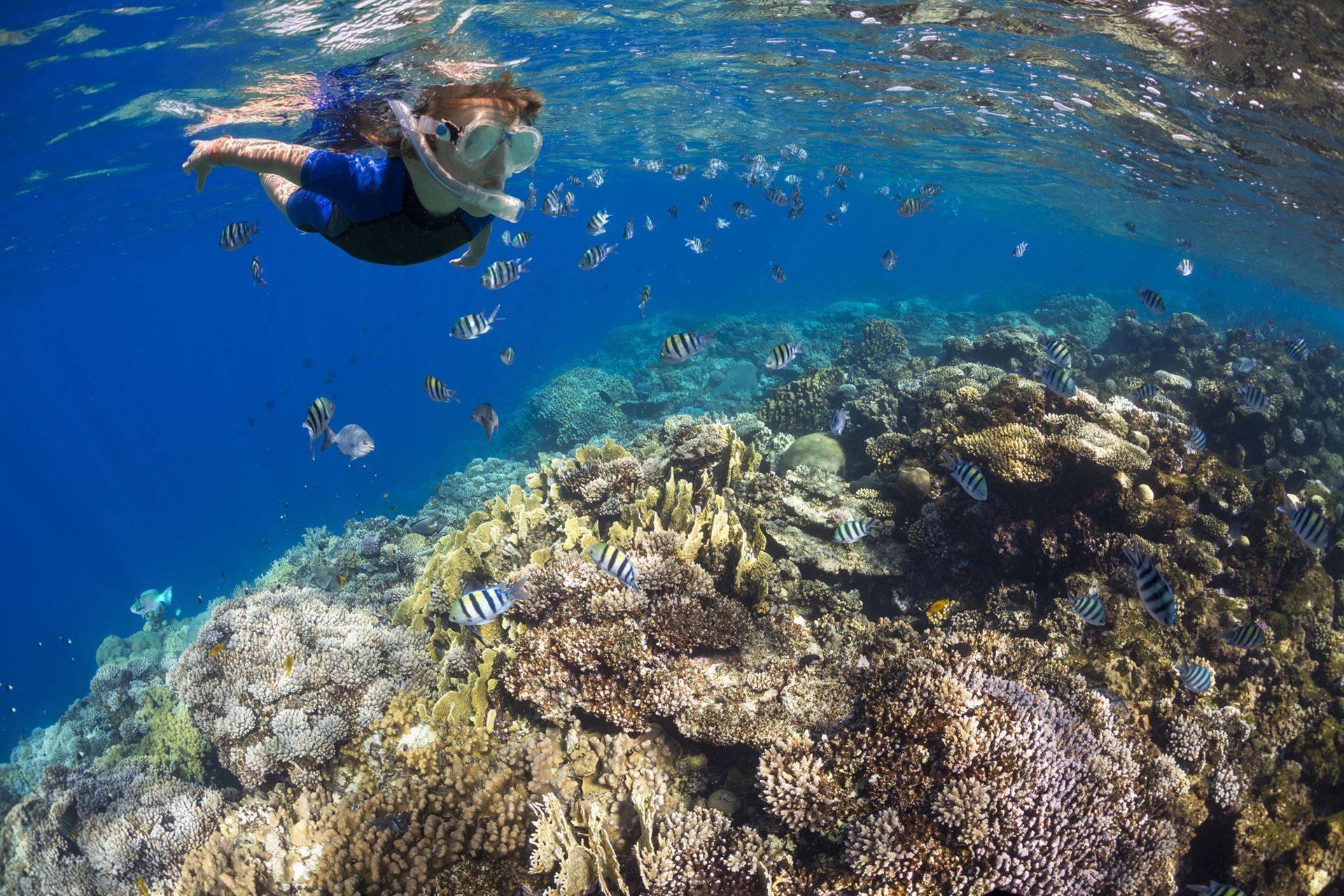 Schnorcheln in Marsa Alam