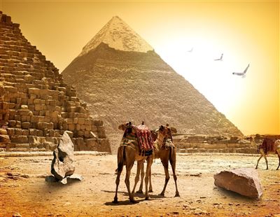 Pyramiden von Gizeh mit Kamelen