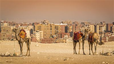 Gizeh City