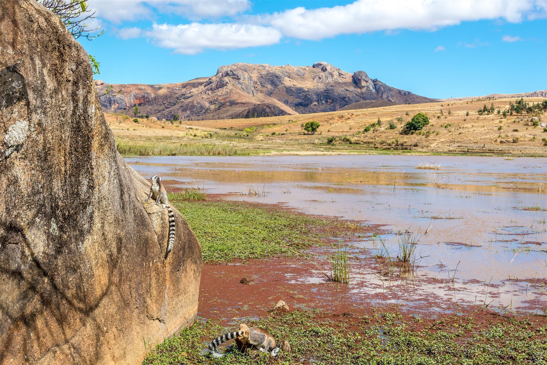  Anja Lemur Park mit Landschaft