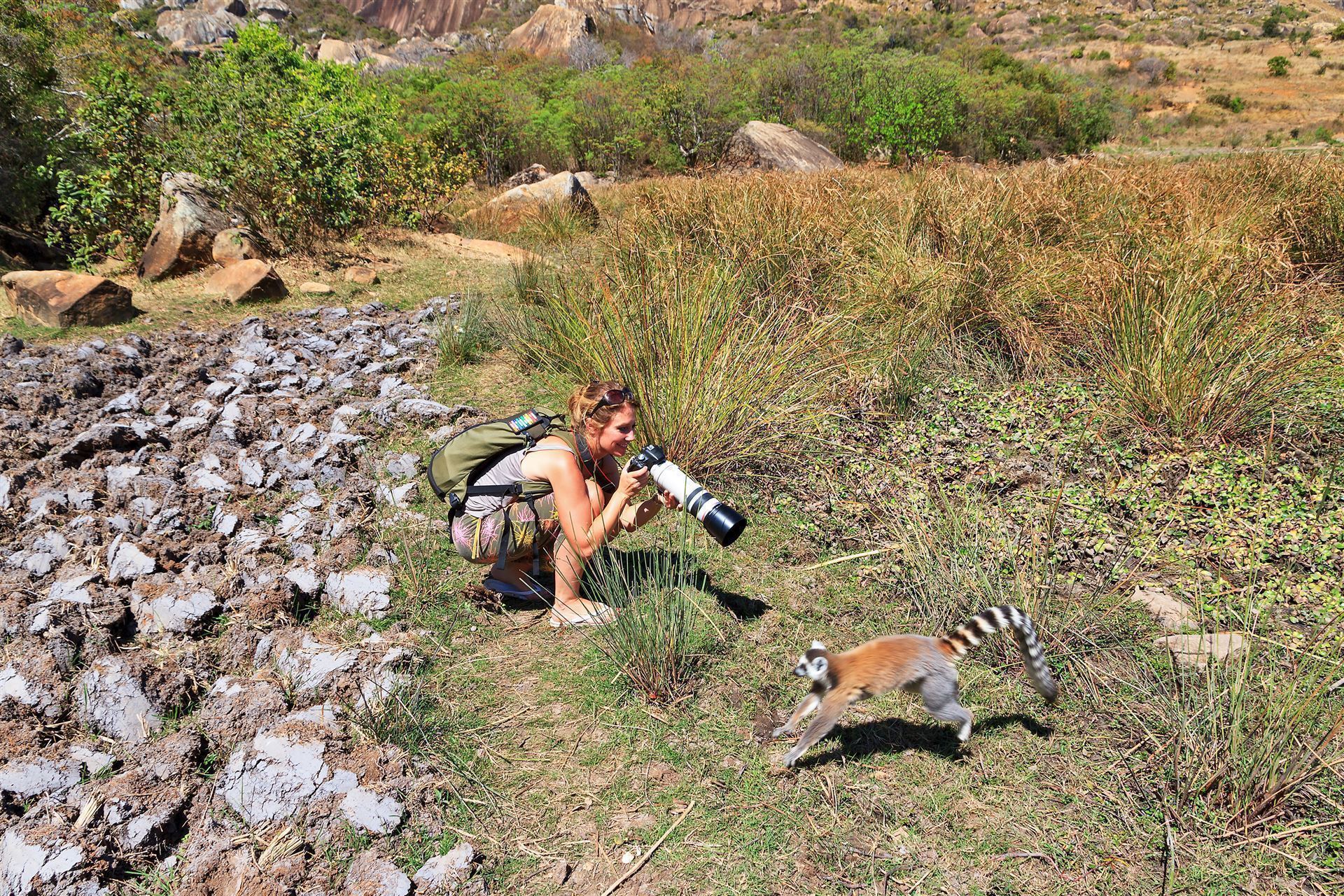 Frau fotografiert Lemur