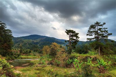 Landschaft um Ranomafana