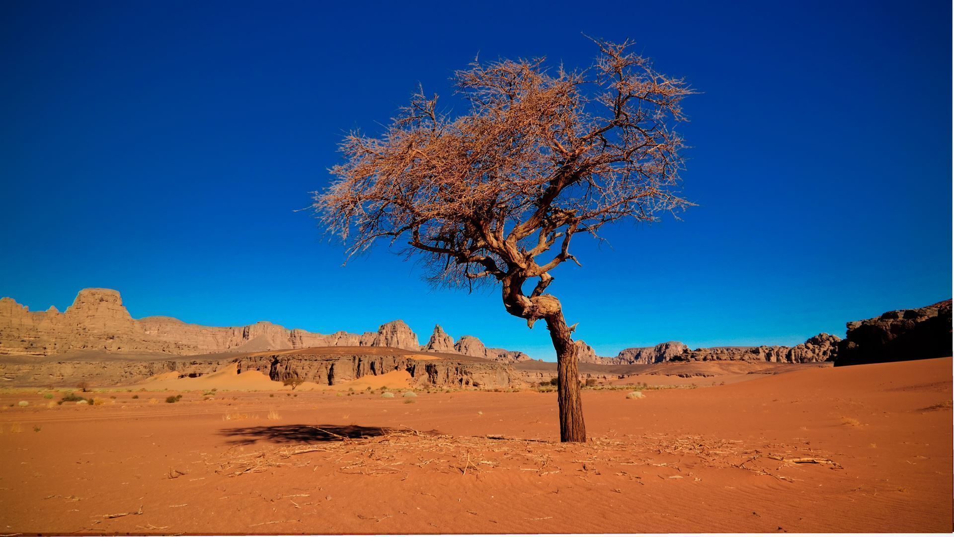 Tassili n Ajjer