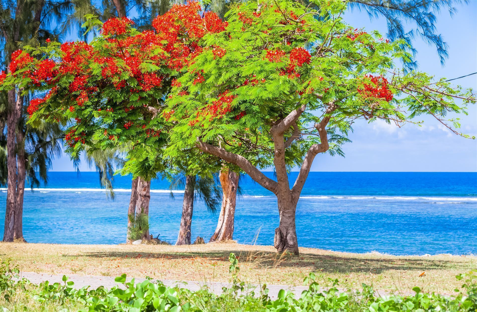 Strand in Saint-Leu