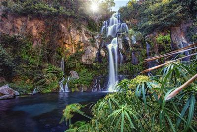 Wasserfall Bassin des Aigrettes nahe Saint-Gilles-Les-Bains